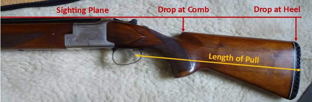 Some key measurements for shotgun fitting