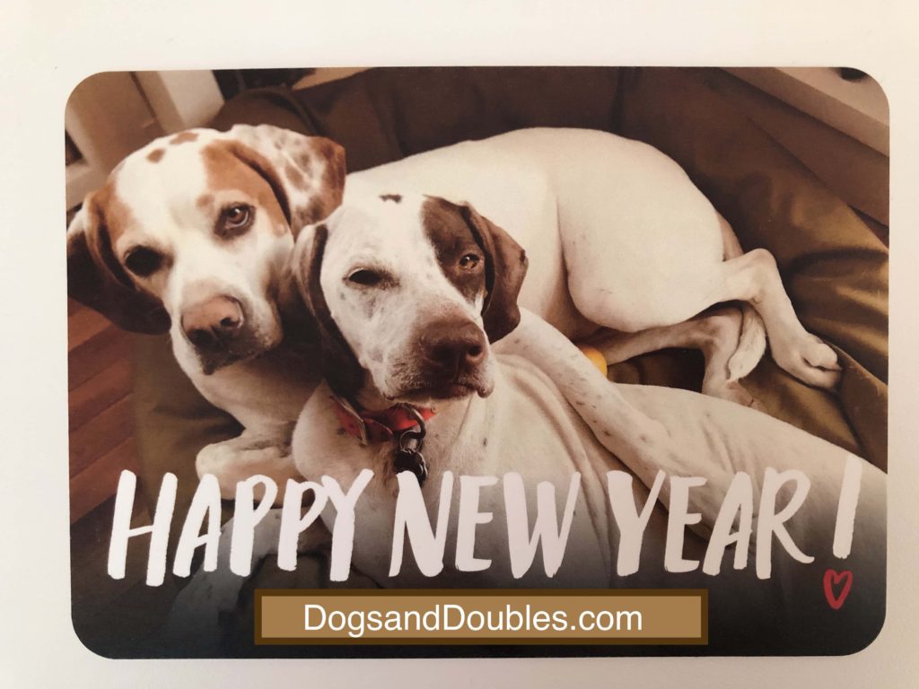 Happy 2019 from Dogs and Doubles