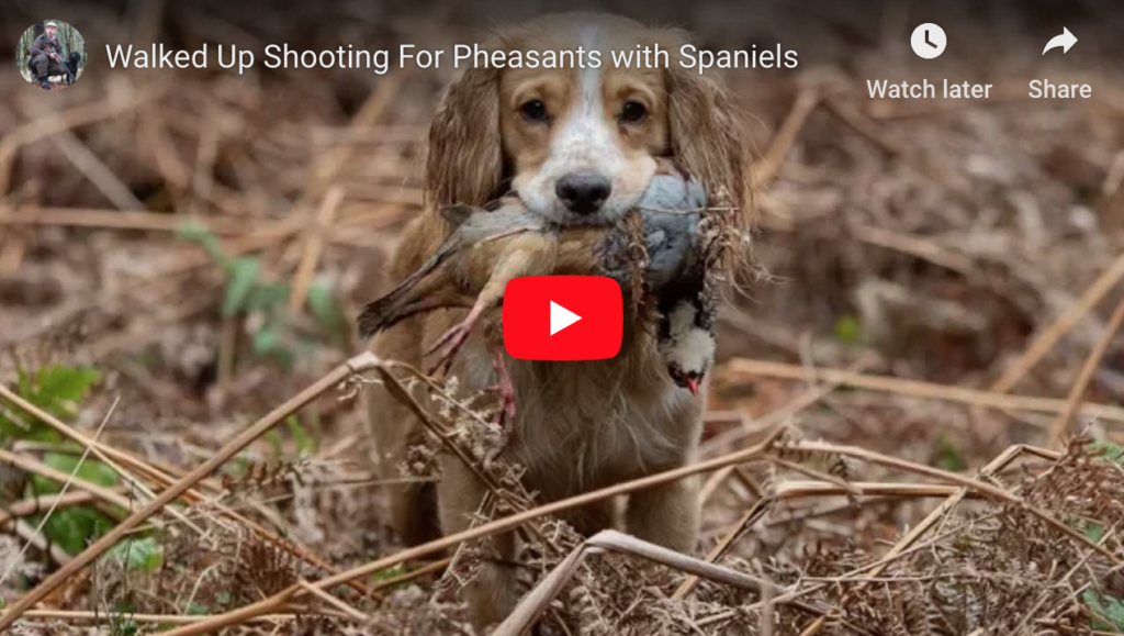 Watch: Walked Up Shooting in the UK with Spaniels, by Nick Ridley -- Featuring Ted, his little, 4-legged dynamo of a cocker spaniel